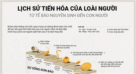  Đầu Hươu, Sự Phảng Phất Của Loài Khác và Thực Tiễn Năng Động