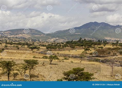  “ Addis Ababa”, Một Bức Tranh Phong Cảnh Thêm Một Chút Bí Ẩm và Sắc Màu Rực Rỡ!